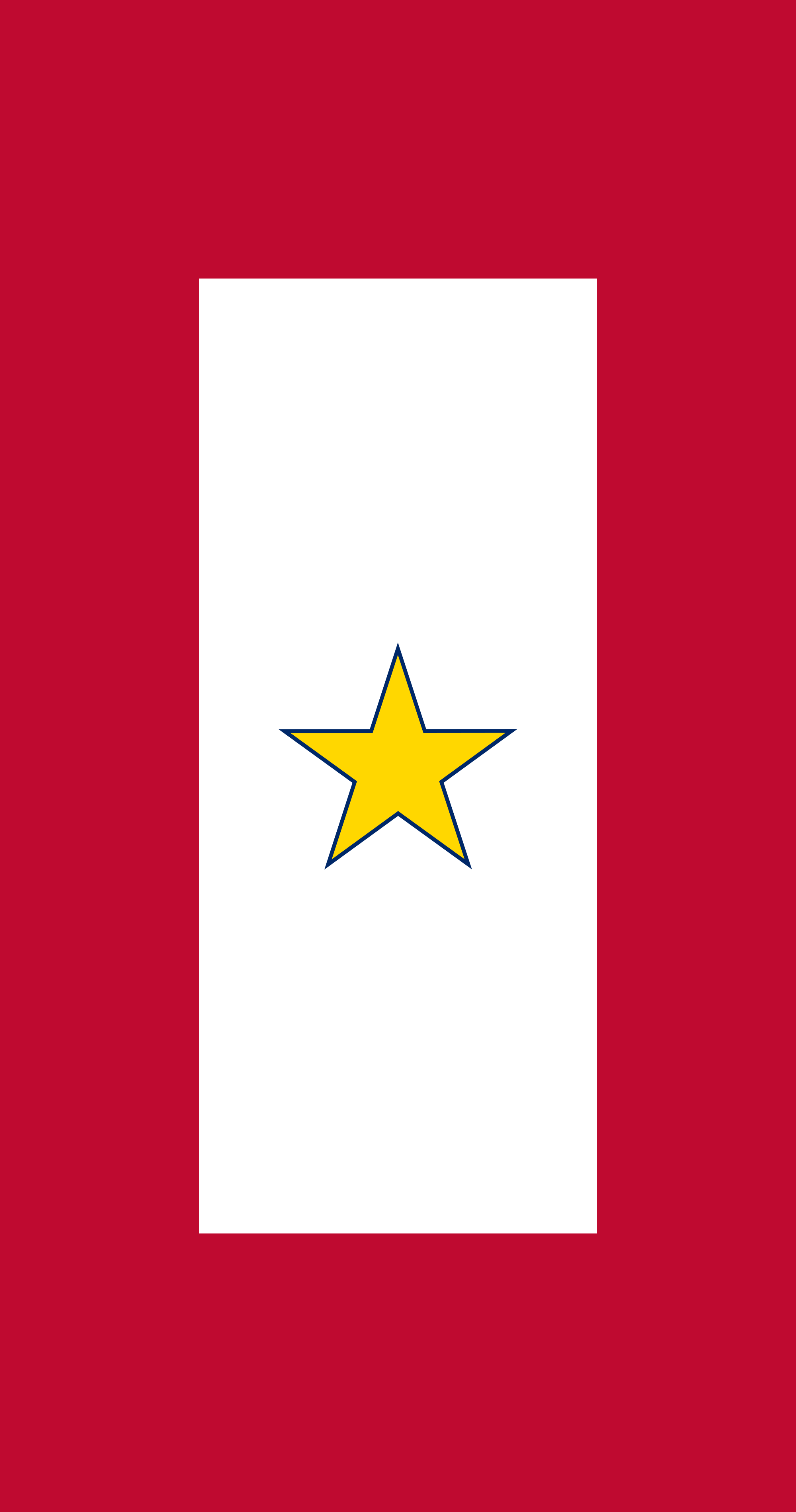 2000px-Gold_Star_Service_Banner_svg.png